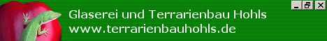 Terrarienbau Hohls